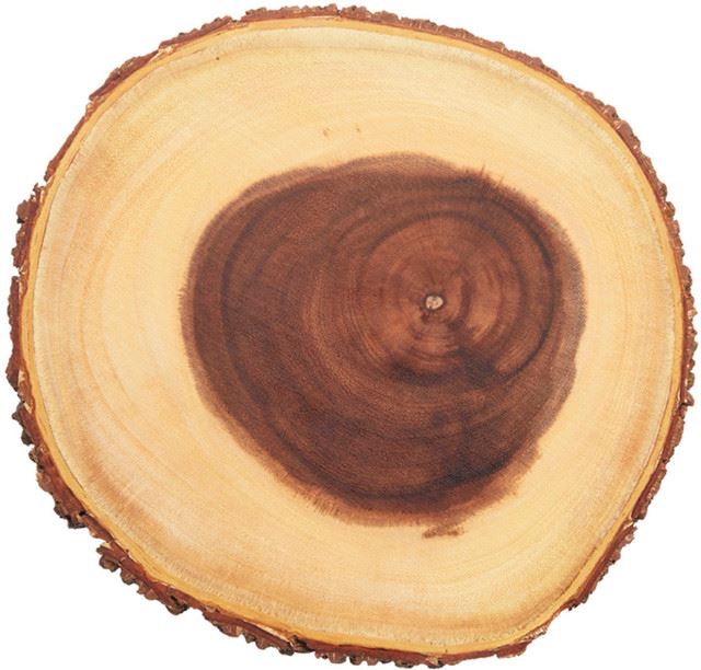 Дошка для подачі страв Artesà Rustic, 25 см, ARTBARKSML
